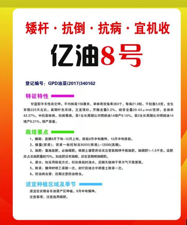 億油8號(hào)